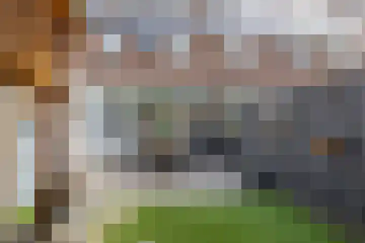 Sneeuwwit 3 Zoetermeer thumbnail 22