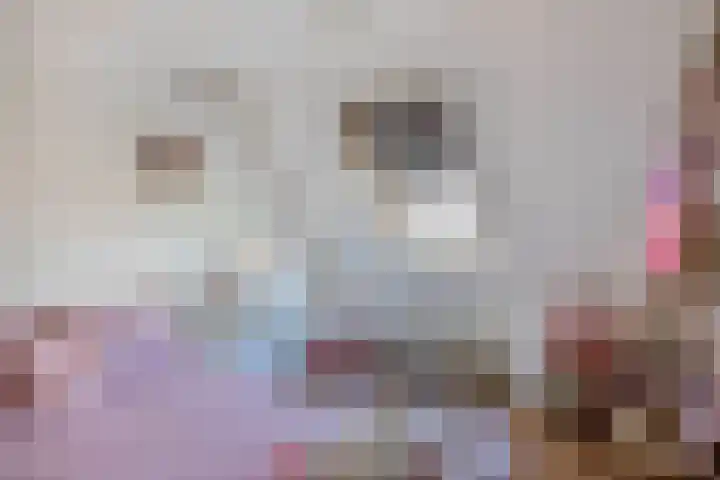 Sneeuwwit 3 Zoetermeer thumbnail 31