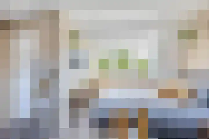 Sneeuwwit 3 Zoetermeer thumbnail 32