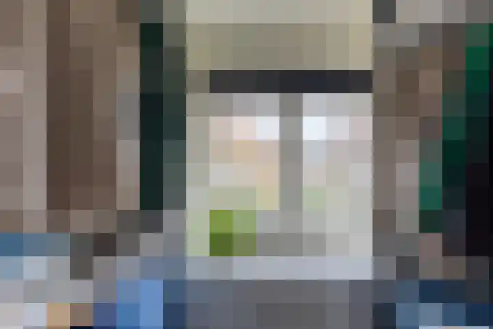Sneeuwwit 3 Zoetermeer thumbnail 33