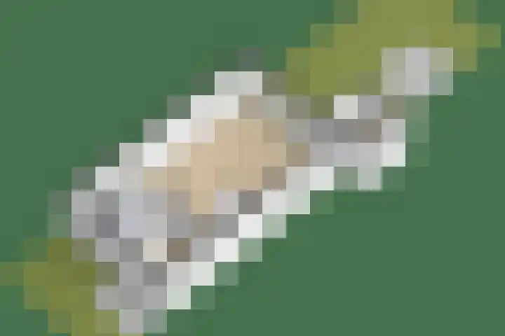 Sneeuwwit 3 Zoetermeer thumbnail 39