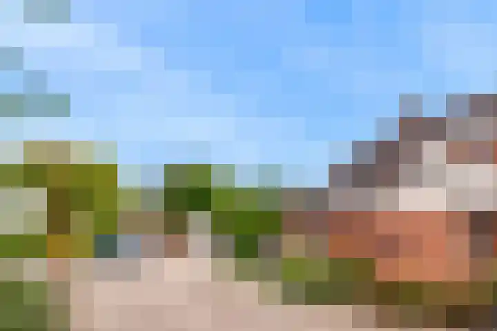 Sneeuwwit 3 Zoetermeer thumbnail 4
