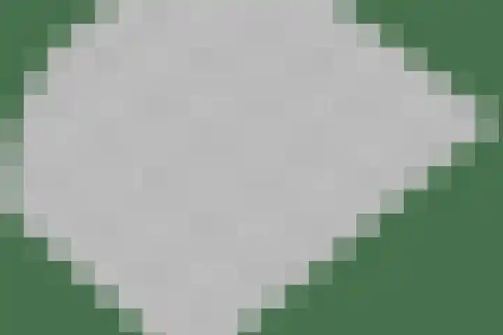 Sneeuwwit 3 Zoetermeer thumbnail 49