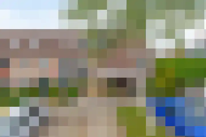 Sneeuwwit 3 Zoetermeer thumbnail 5