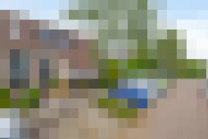 Sneeuwwit 3 Zoetermeer thumbnail 6