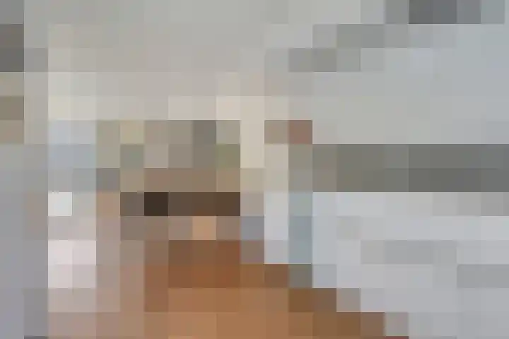 Sneeuwwit 33 Zoetermeer thumbnail 14