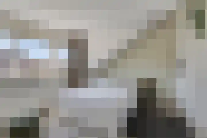 Sneeuwwit 33 Zoetermeer thumbnail 28