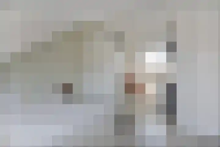 Sneeuwwit 33 Zoetermeer thumbnail 29
