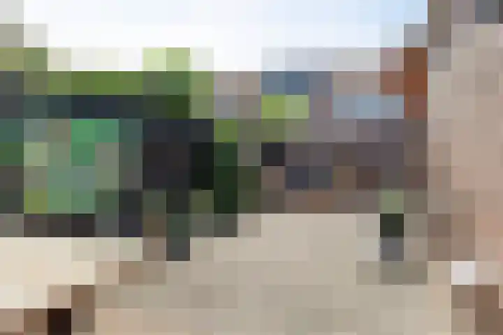 Sneeuwwit 33 Zoetermeer thumbnail 33