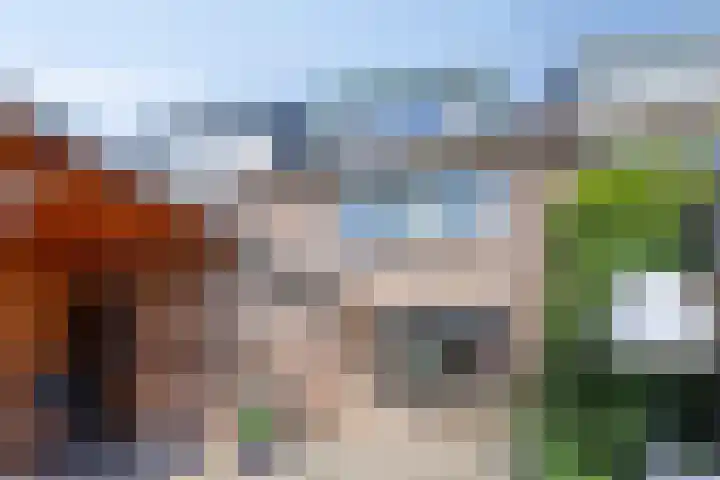 Sneeuwwit 33 Zoetermeer thumbnail 35