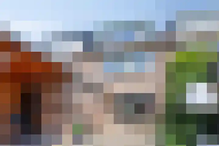 Sneeuwwit 33 Zoetermeer thumbnail 4