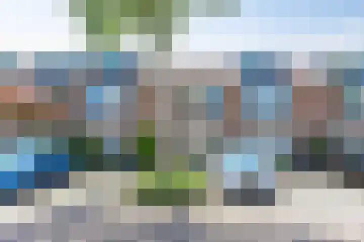 Sneeuwwit 33 Zoetermeer thumbnail 44