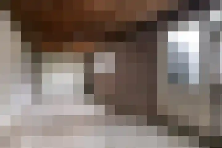 Snelliusstraat 3 Helmond thumbnail 23