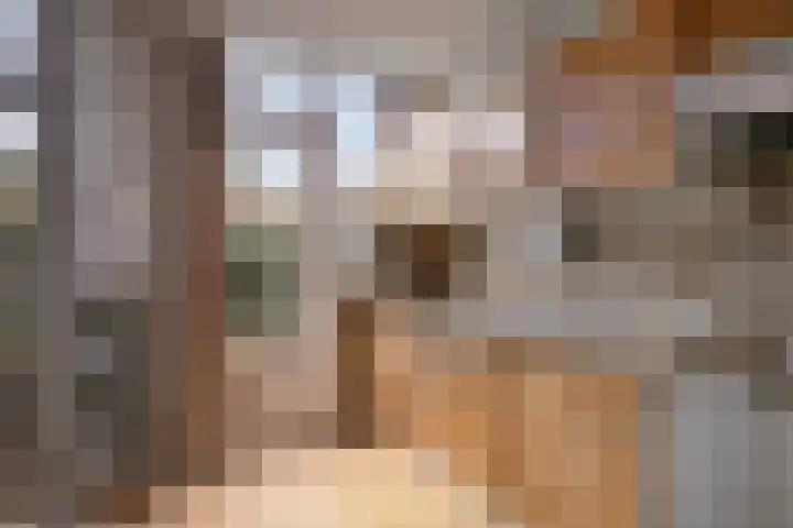 Snelliusstraat 3 Helmond thumbnail 5