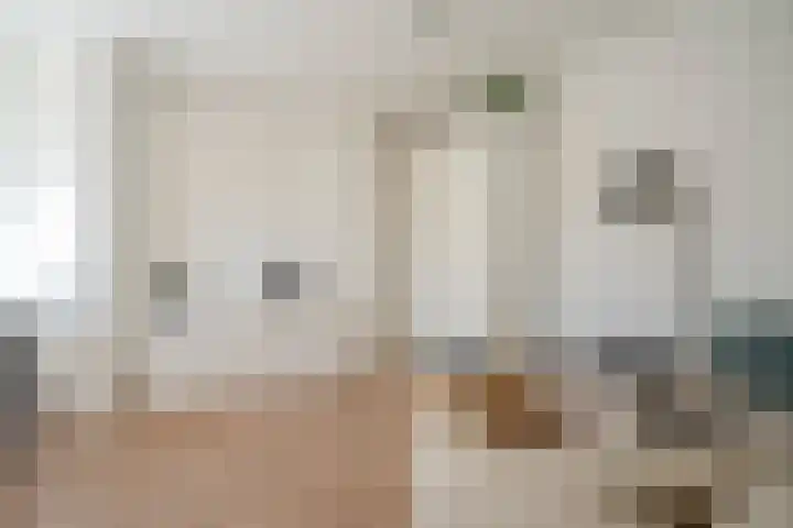 Snelliusstraat 84 Den Haag thumbnail 5