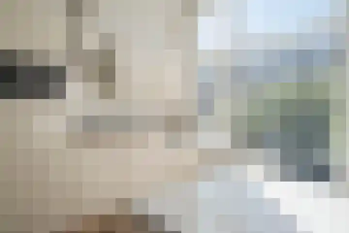 Snelliusstraat 84 Den Haag thumbnail 8