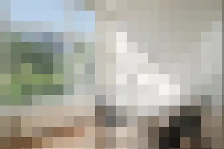 Snelliusstraat 84 Den Haag thumbnail 9