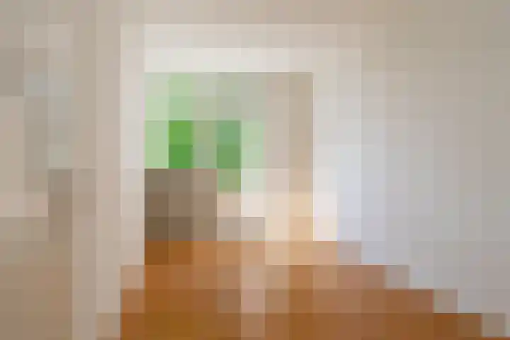 Snelliusstraat 87 Groningen thumbnail 26