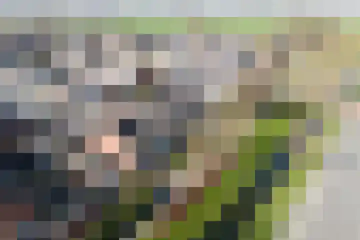 Snip 1 Ursem foto 2