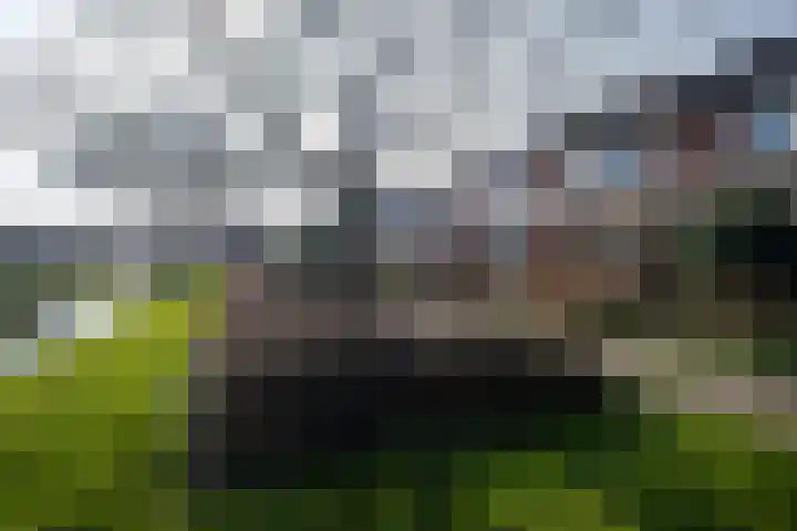 Snip 1 Ursem thumbnail 33