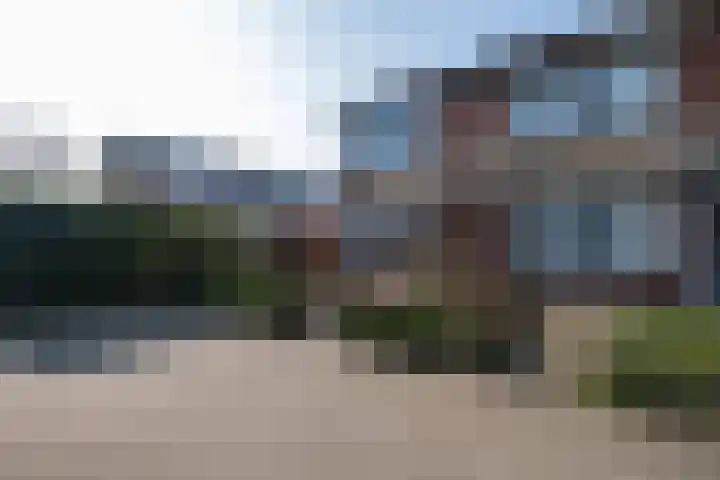 Snip 1 Ursem thumbnail 37
