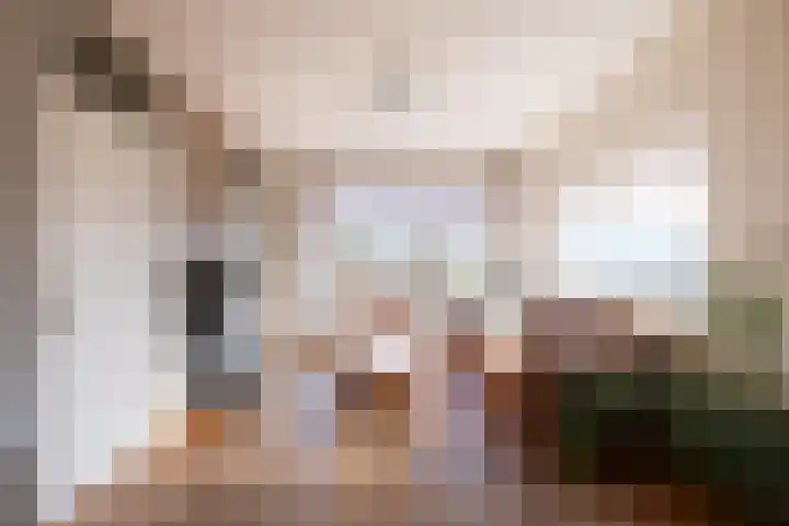 Snip 1 Ursem thumbnail 5