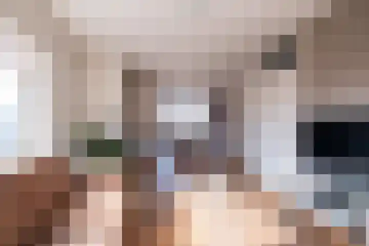 Snip 1 Ursem thumbnail 6