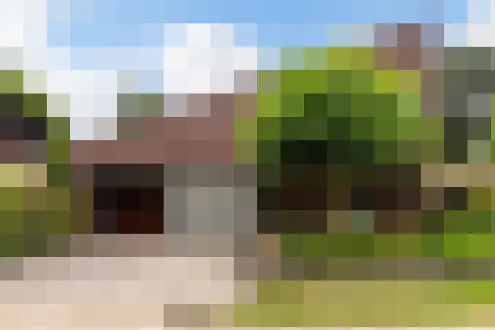 Snip 133 Groningen thumbnail 21