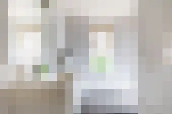 Snip 133 Groningen thumbnail 22