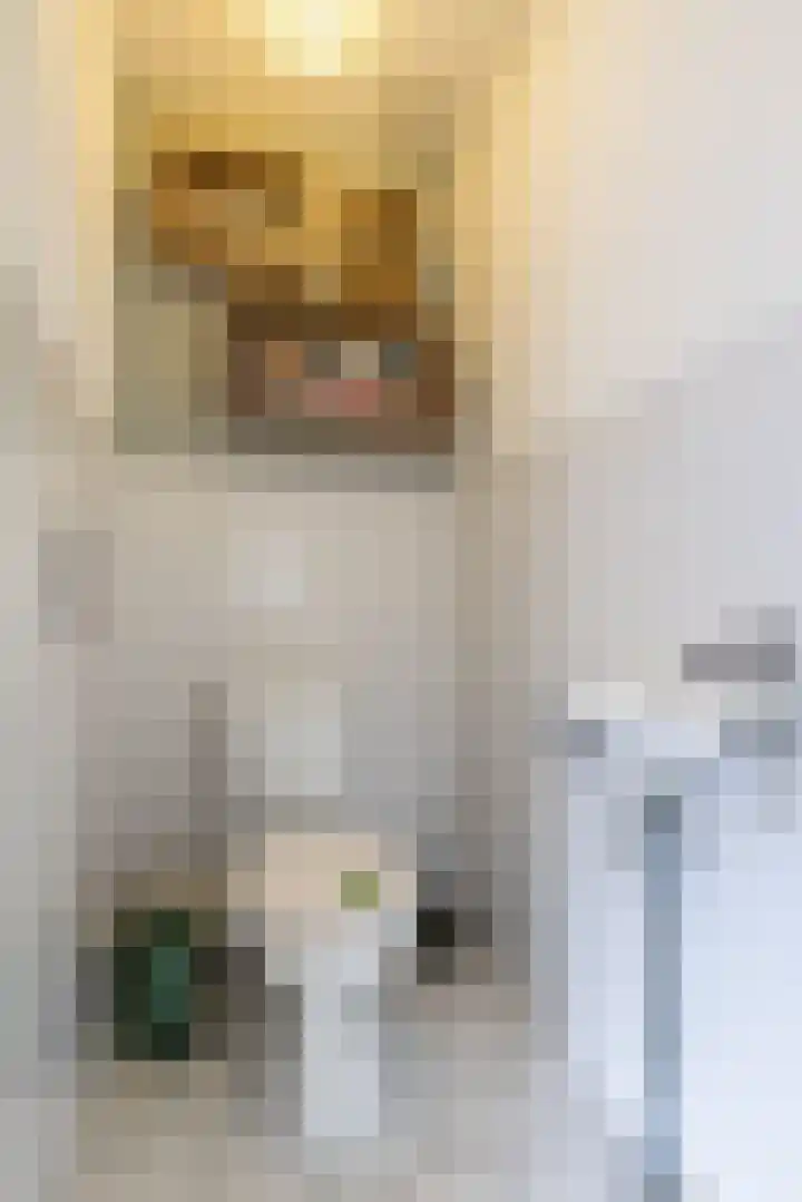 Snip 133 Groningen thumbnail 25