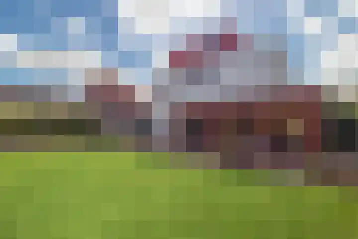 Snip 133 Groningen thumbnail 33