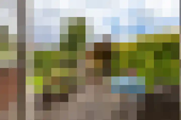 Snip 133 Groningen thumbnail 35