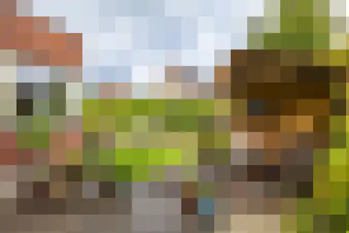 Snip 133 Groningen thumbnail 37