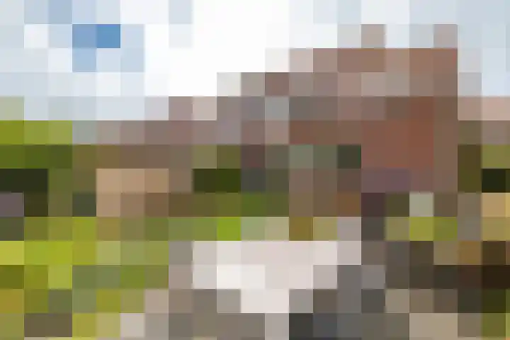 Snip 133 Groningen thumbnail 38