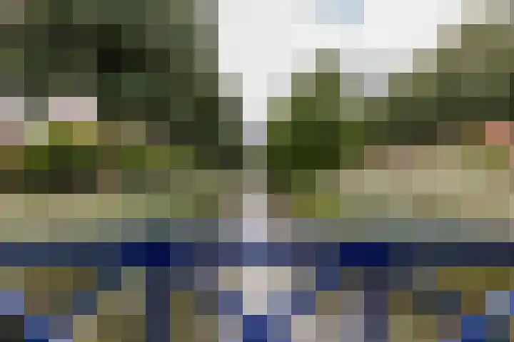 Snip 133 Groningen thumbnail 40