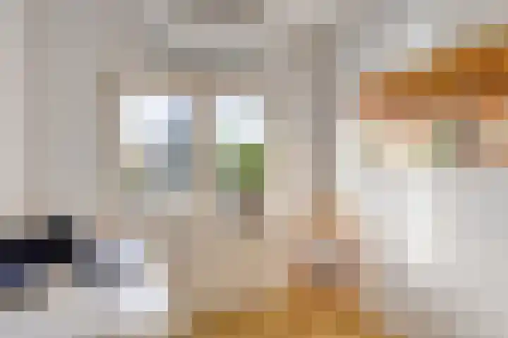 Snip 133 Groningen thumbnail 43