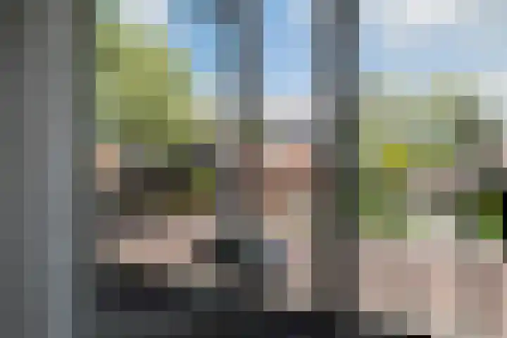 Snip 133 Groningen thumbnail 5