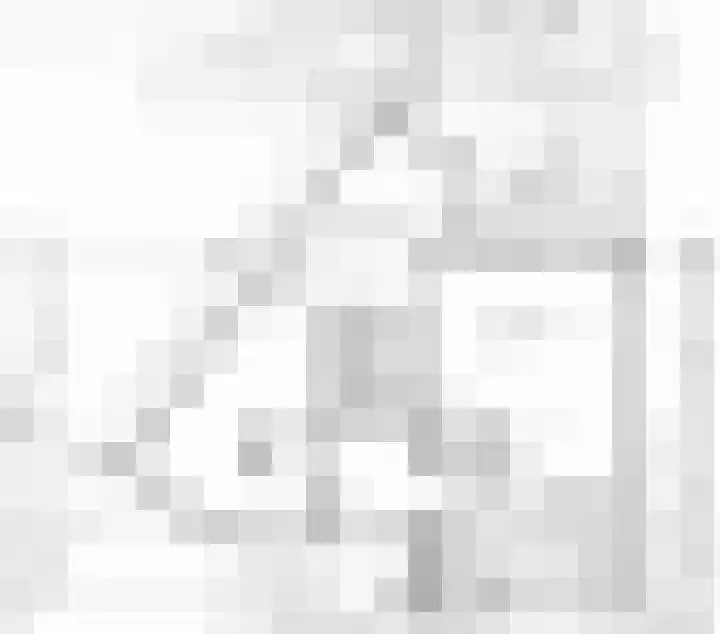 Snip 133 Groningen thumbnail 7
