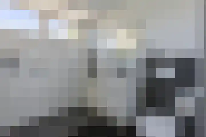 Snipdonk 68 Veghel thumbnail 20