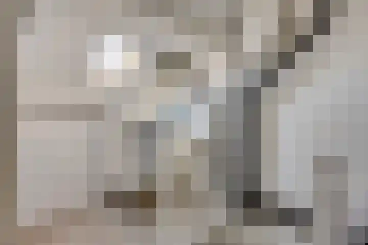 Snipdonk 68 Veghel thumbnail 23