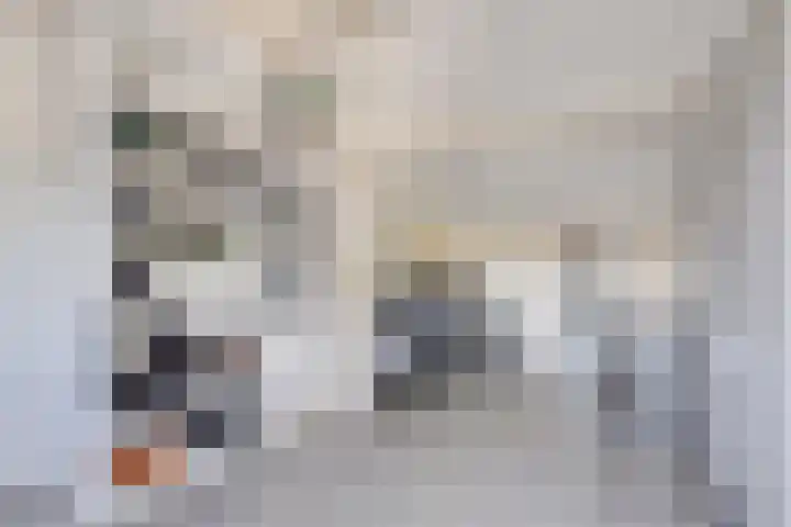 Snipdonk 68 Veghel thumbnail 25