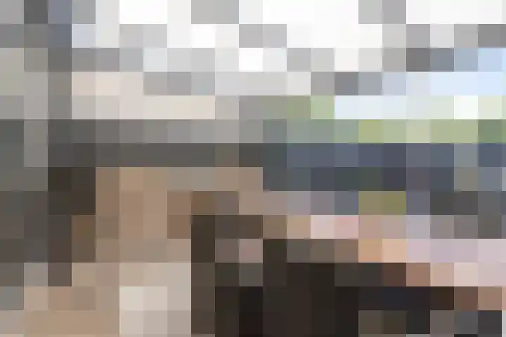 Snipdonk 68 Veghel thumbnail 29