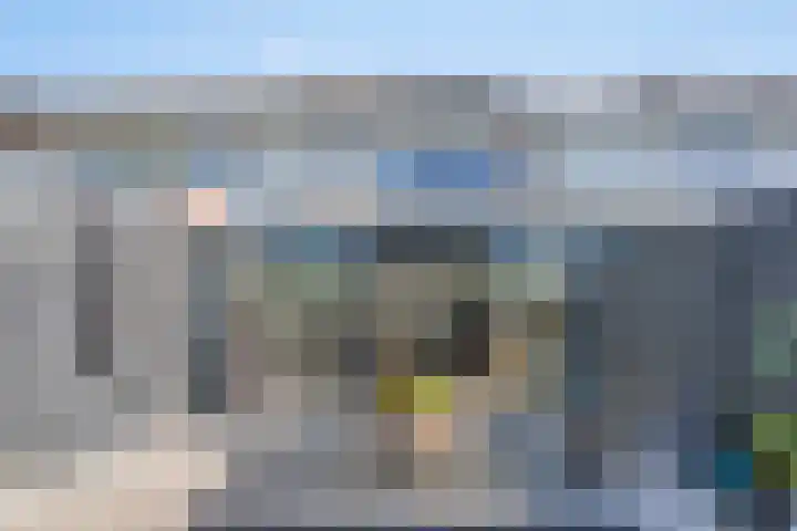 Snipdonk 68 Veghel thumbnail 33