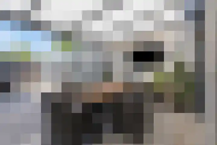 Snipdonk 68 Veghel thumbnail 4