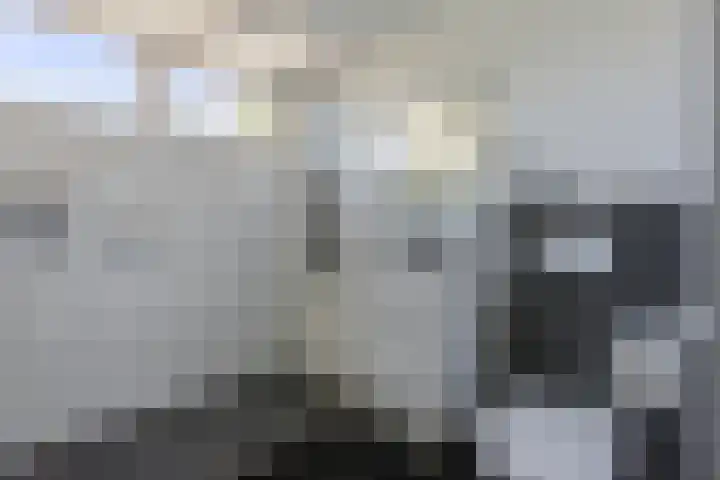 Snipdonk 68 Veghel thumbnail 5