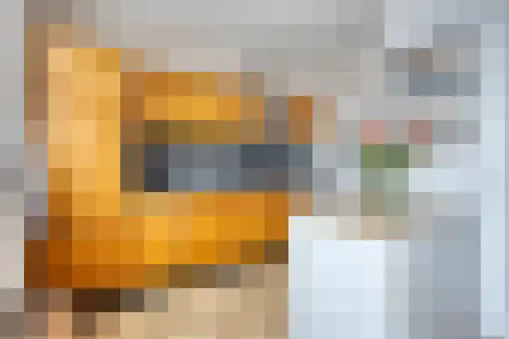 Snipdonk 68 Veghel thumbnail 6