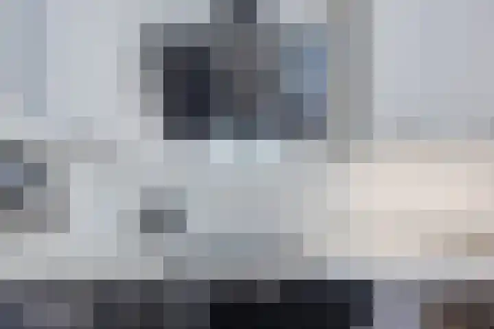 Snipdonk 7 Veghel thumbnail 16