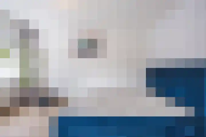 Snipdonk 7 Veghel thumbnail 20