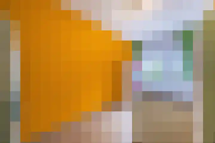 Snipdonk 7 Veghel thumbnail 22