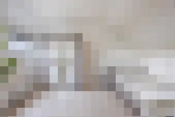Snipdonk 7 Veghel thumbnail 29